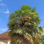 Le Domaine De L'escadasse 3* Faycelles