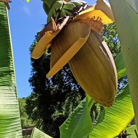 Maison d'hôtes Le Domaine De L'escadasse Faycelles