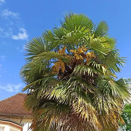 Le Domaine De L'escadasse 3* Faycelles